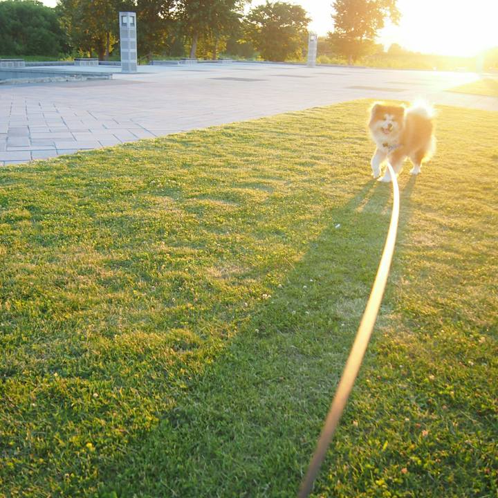 Fe19a8e7 2736 45a9 9ed6 1aa40c354d53