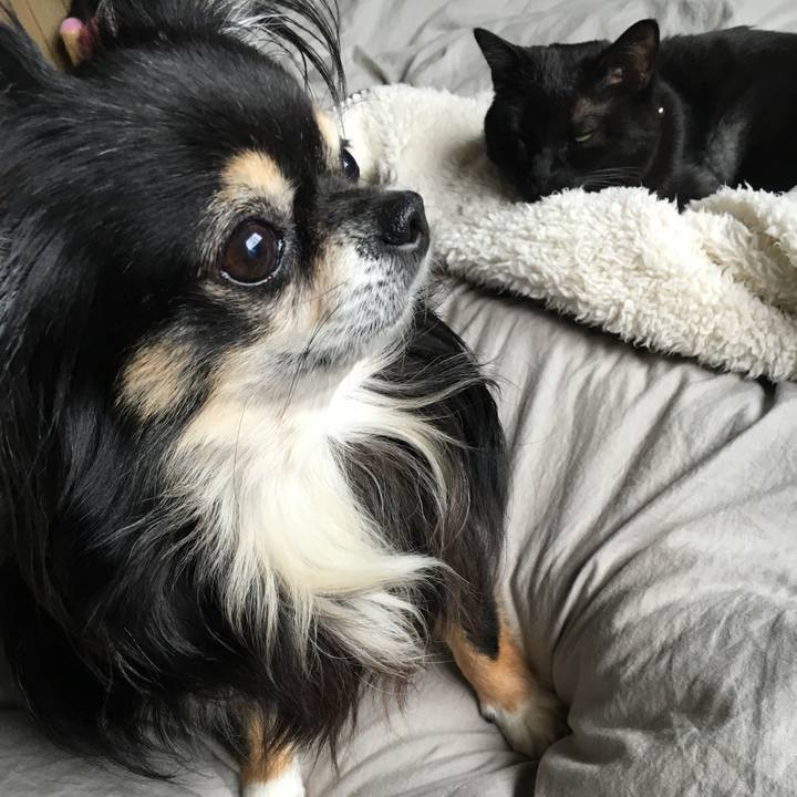 Fe1a308c 4e97 4193 b0b8 22f011eb7cfe