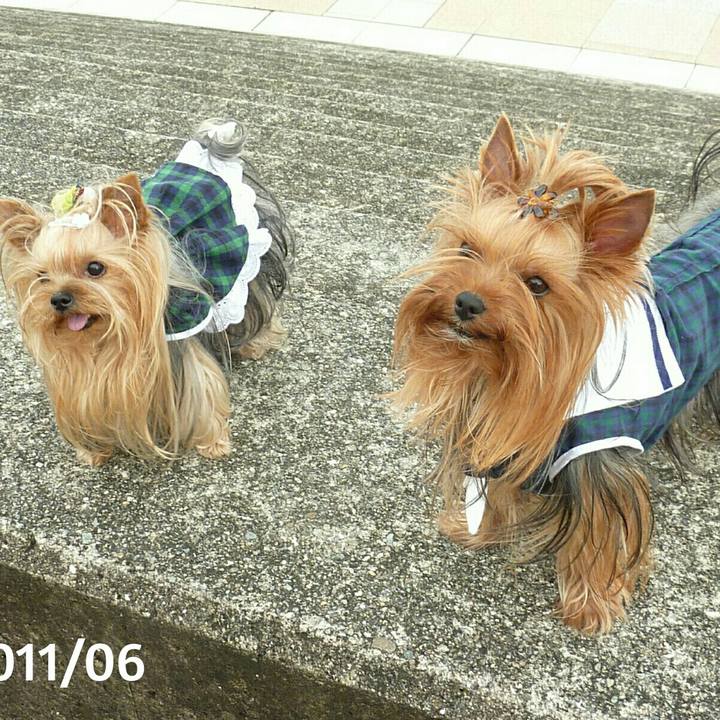 Fe1b62f8 6cfc 4a3a a6d7 60d0693ebcb1