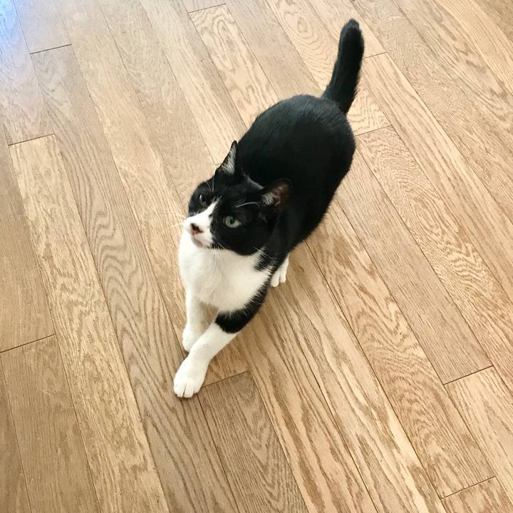 Fe1b8df7 0ed7 4b5c 9573 5c63786cf9f8