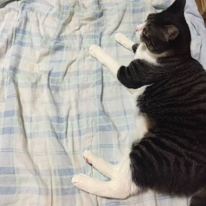 Fe1bb6bd f3b8 4bdd 8c94 75a47292a69c