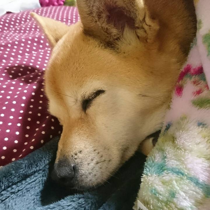 Fe1c2daf de2b 4702 abde fe1d2a7ba71b