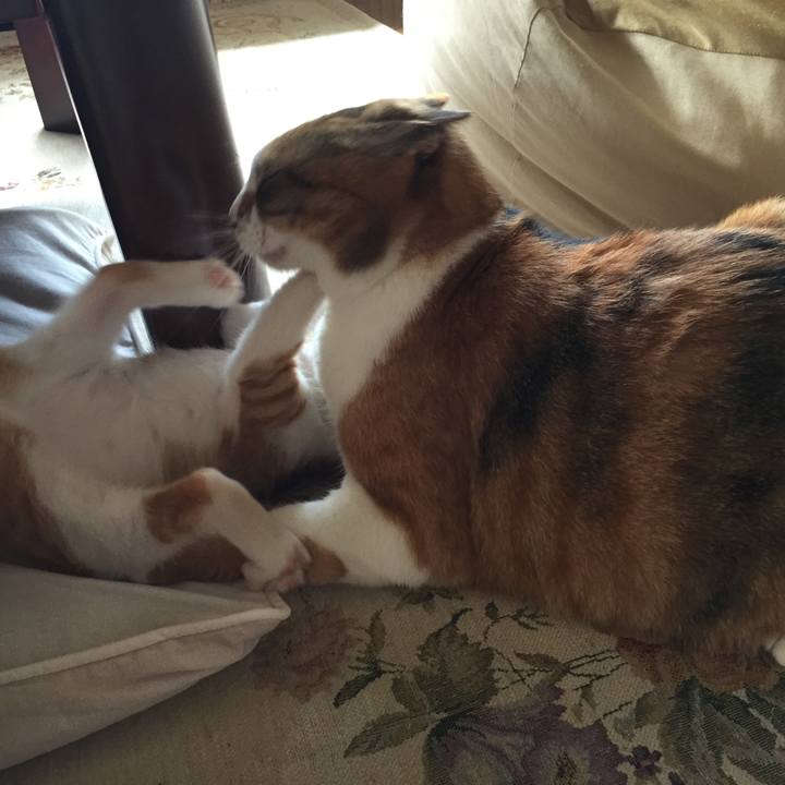 Fe1c7644 c2f1 4aec aeed 1f167b198151