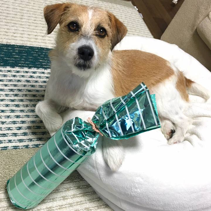 Fe1cd38b ba2e 47cd 94e5 0cfe31f5bb2f