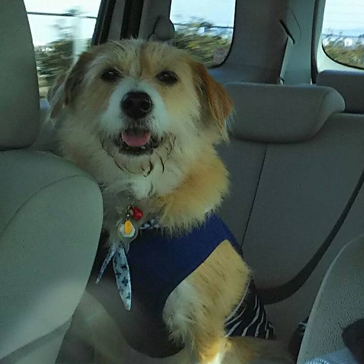 Fe1da3ba 37ce 4872 8a17 ba1fbe878966