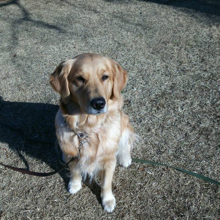 Fe1db3df c56b 484b aab0 9ecb27de005a