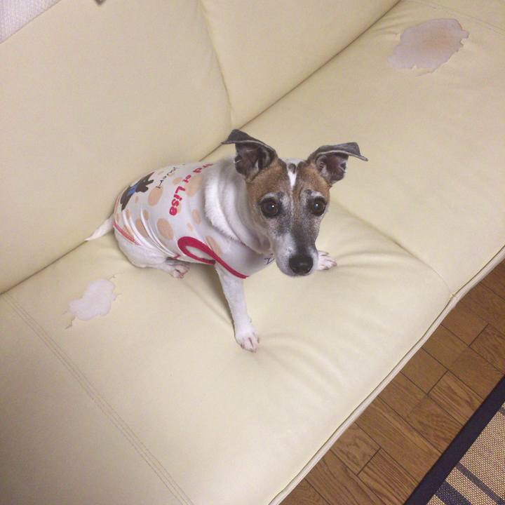 Fe1e1b0c 52fe 488d 8313 2e42bd74a949