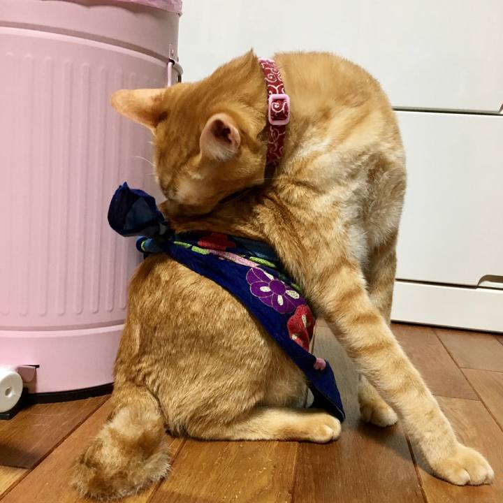 Fe1ede9c 2c7c 48c4 87ca 6d5f6258bac6