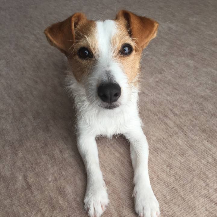 Fe1f11a6 5f65 4be3 855f 160169a45d6c