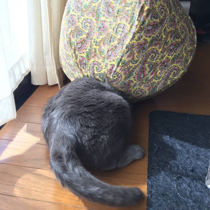 Fe1f9750 9985 4afe 8361 056216fb3d73