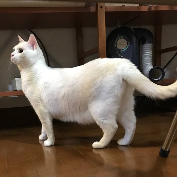 Fe1fcb52 5b44 4fde aed0 57e5bf65ca79