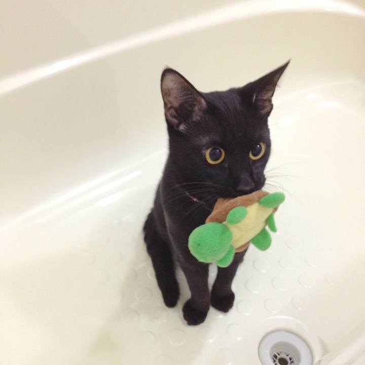 Fe202634 5da9 4a3e 9992 63228edb5a36