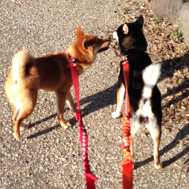 Fe213462 13a6 44bc b123 10b20accc9fb