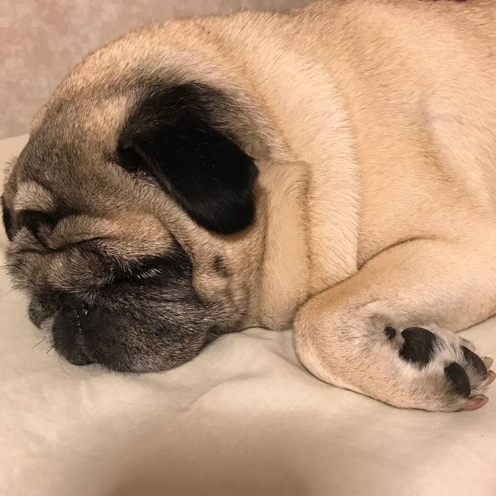 Fe21ba43 b76c 4df0 ab95 576e249c1b97