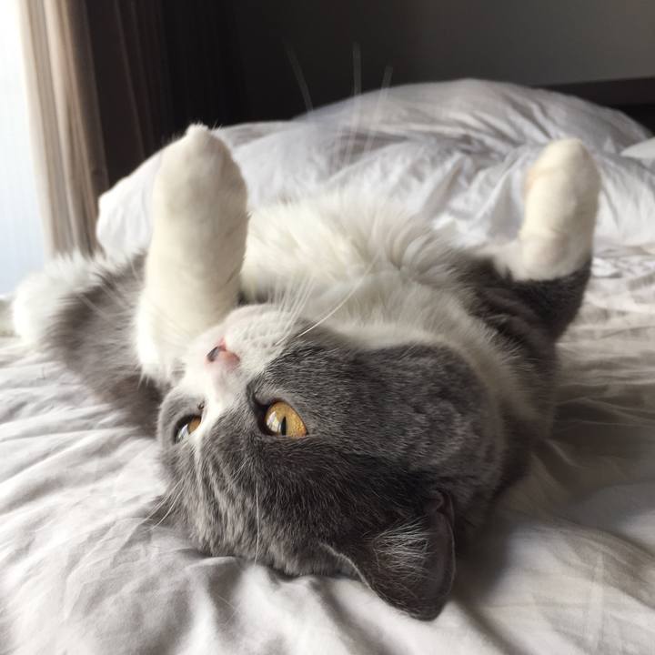 Fe2213eb 2f15 4d74 9694 b2b08f48fdbd