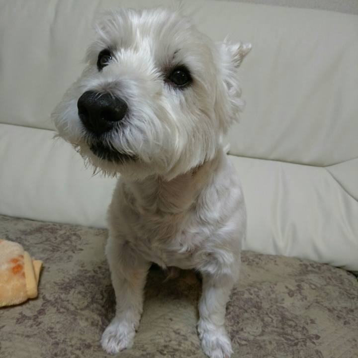 Fe222e90 e116 486d b293 80d817479e5c