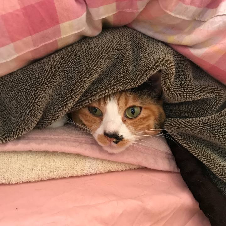 Fe22419a 546c 43ae 9af9 c42440cc8737