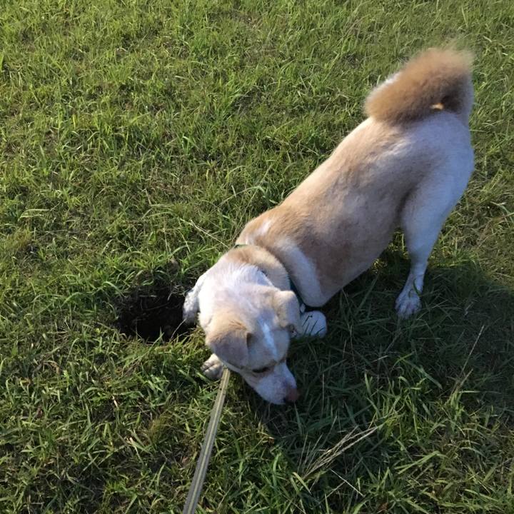 Fe22449d c6be 4f84 81bd 07b0500d5401