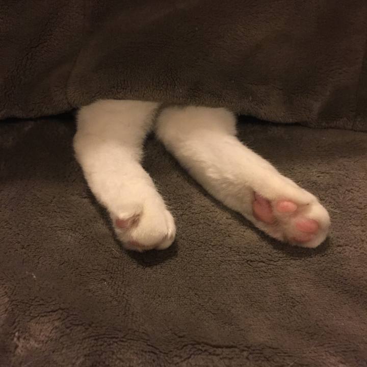 Fe226b02 da12 4086 a1ad 6f9a3252908f