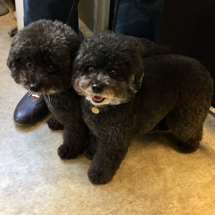 Fe227c0b 8688 4cf9 a09e f02ae204aedc