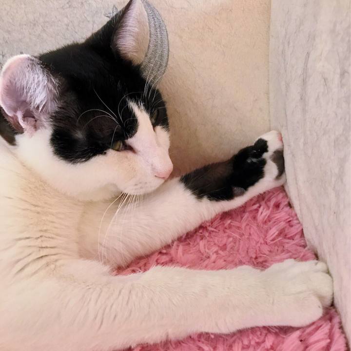 Fe228391 9cd9 4a20 b1e2 f2c29fc5b689