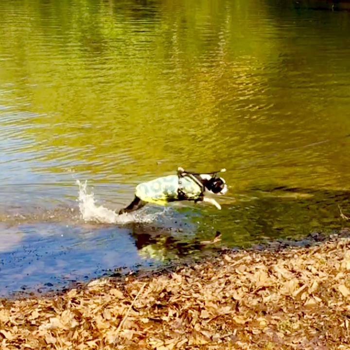 Fe23462a cf00 4df1 83de 1788e9308fbd