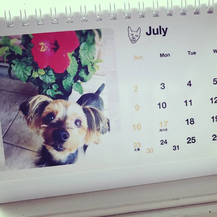 Fe237d3d 27db 4f8b b150 086c4a5ab83c