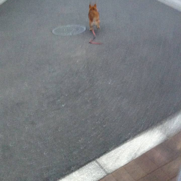 Fe23d65a 7ea6 40bf ba7a ef9ccedbeaee