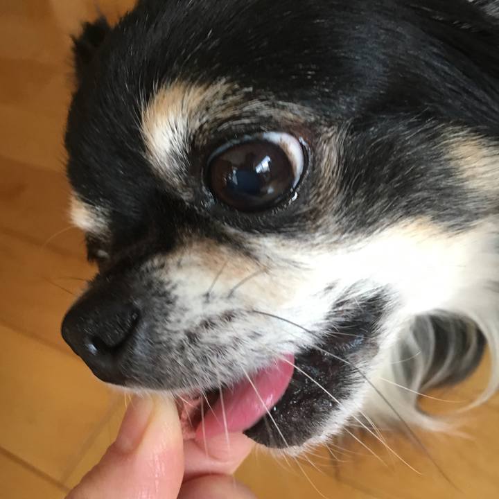 Fe24bbfc c5ab 4833 9e67 6099fa9a84e0