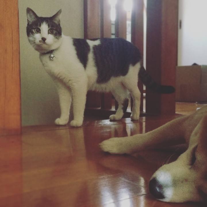 Fe24ef08 e0c2 415a 866e 0fd53ce9bac1