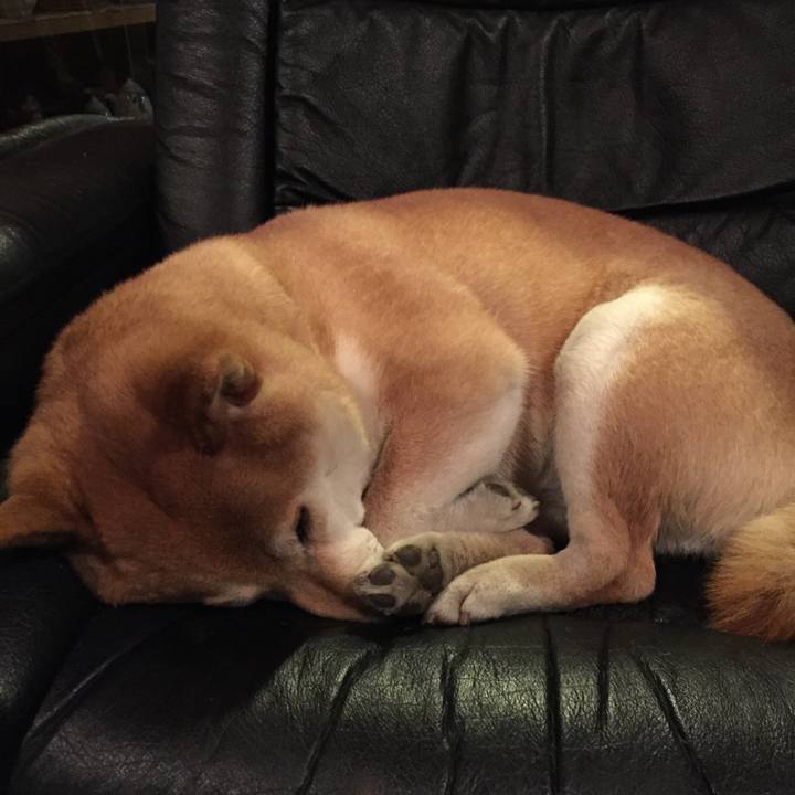 Fe250723 3a36 42da ae2a 7bebf21292bc