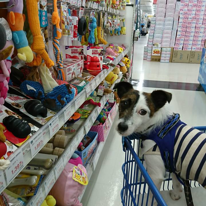 Fe250dae 434c 4a5f b682 5a2a77a15a22