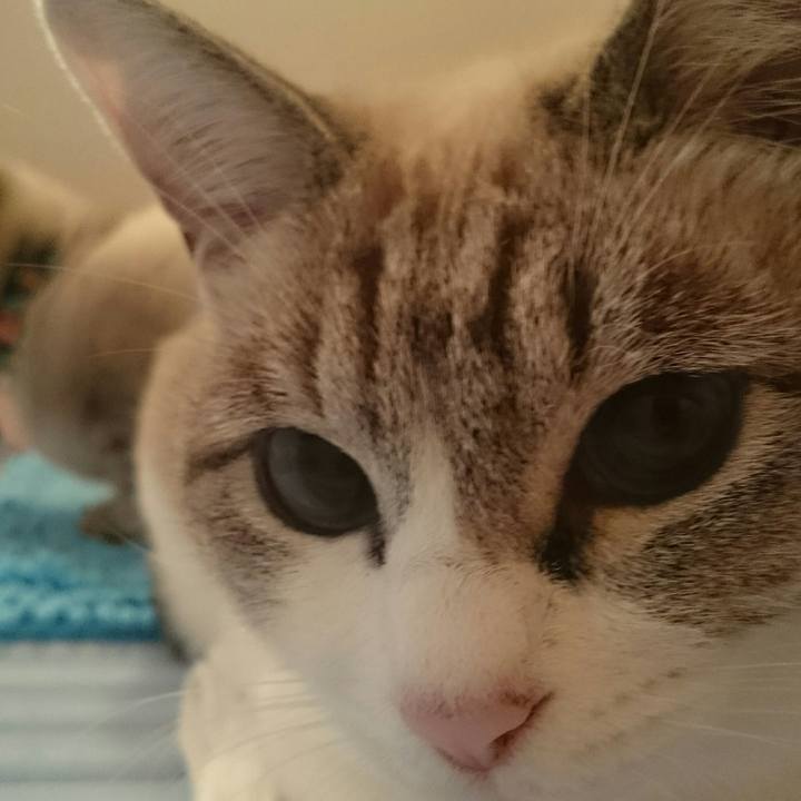 Fe255b2a 7f6e 4475 811b 6ff08f4dab43