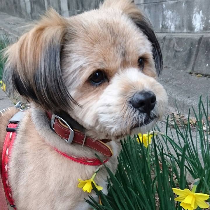 Fe262094 dce4 4451 8aab 1ba844393d9c