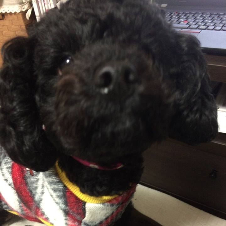 Fe266784 4976 483b b4fb ea637b35e3a4