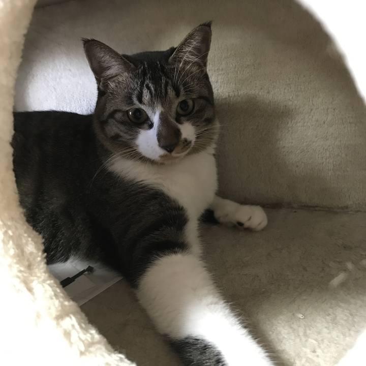 Fe269f5a a755 4ab0 8018 c291b416e278