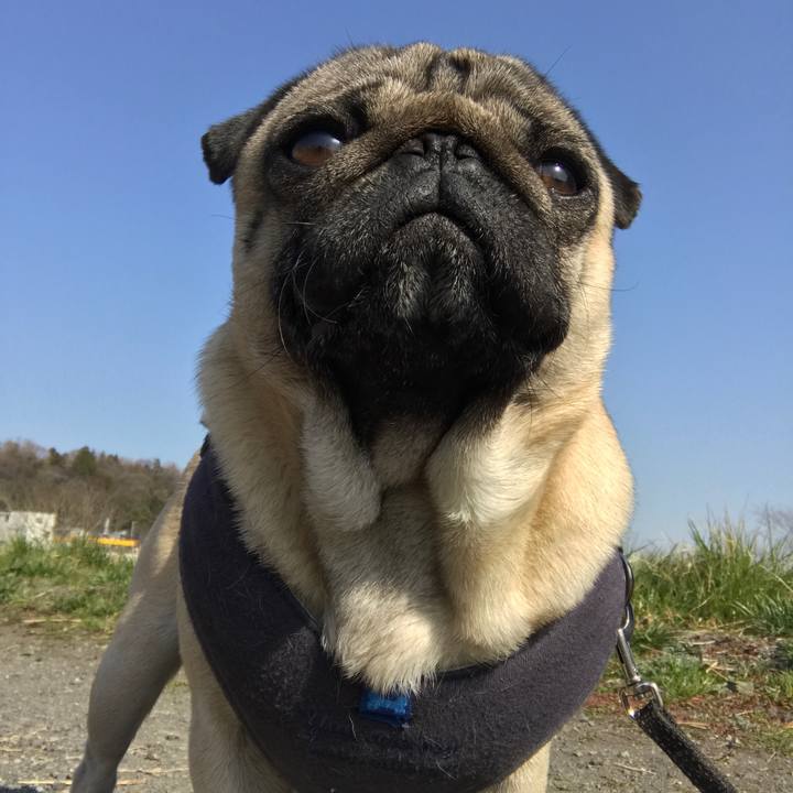 Fe27e10a fa7c 4663 8eb3 32e1c63b7954