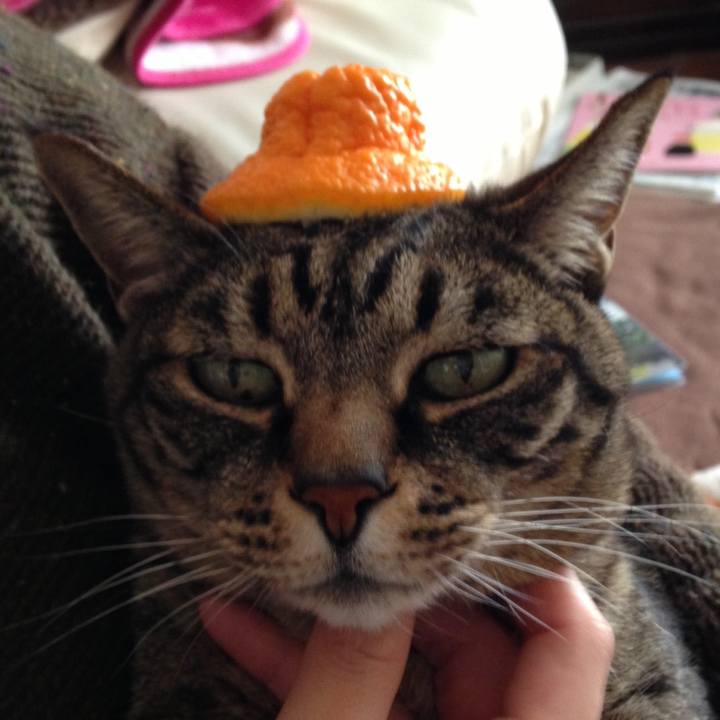 Fe28c680 a2a0 4143 9fbf 45cb9db70de4