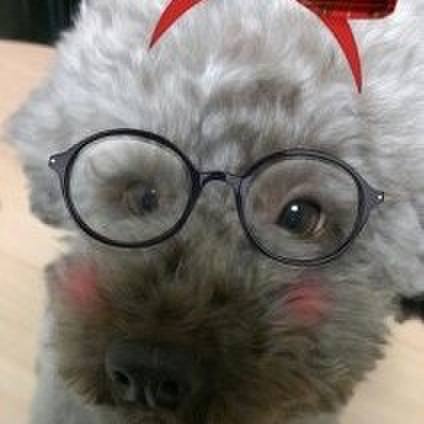 Fe290541 98ce 4c32 a926 974a4751e481