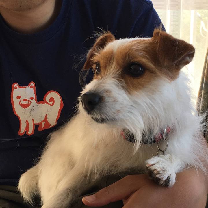 Fe293c6b ebbc 43b5 b3fb e3eb14735676