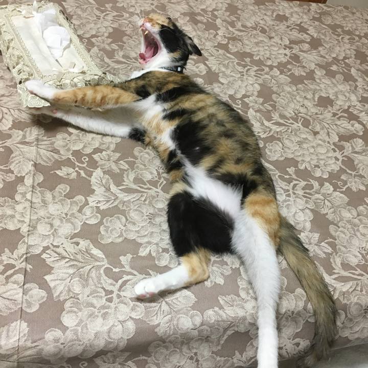 Fe293dfb 8fb1 4521 a336 ed8d63f83e8b