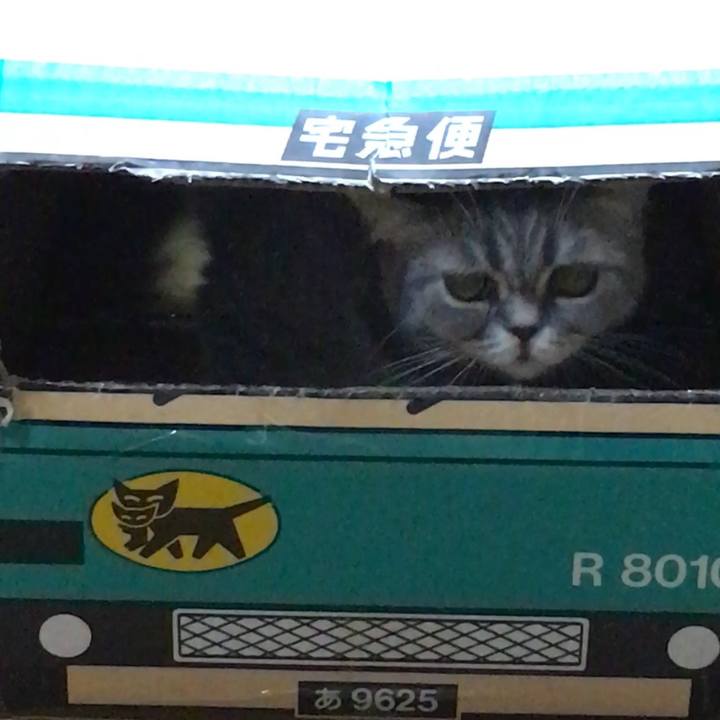 Fe2a1150 d67c 4986 a2df 696251d4cbef