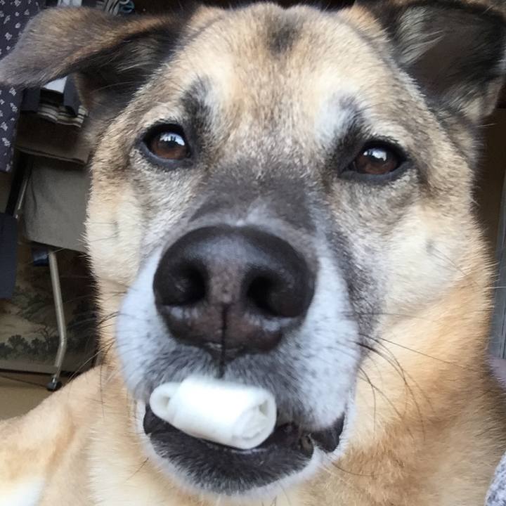 Fe2c4453 a4c5 4faf 90a0 534cffc7cf63