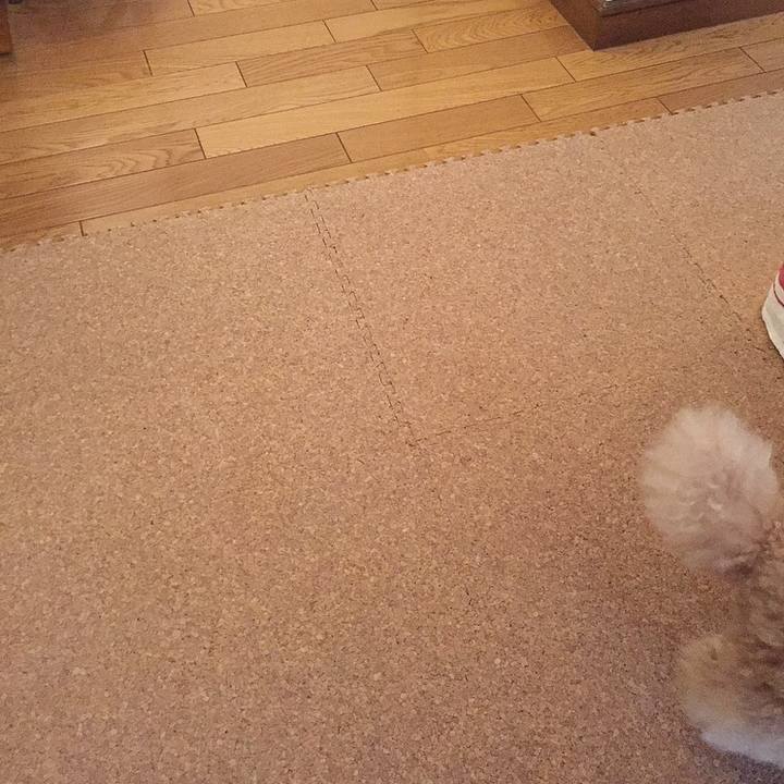 Fe2c5cb6 208c 49ce 9e0e 8ebb0ff7871e