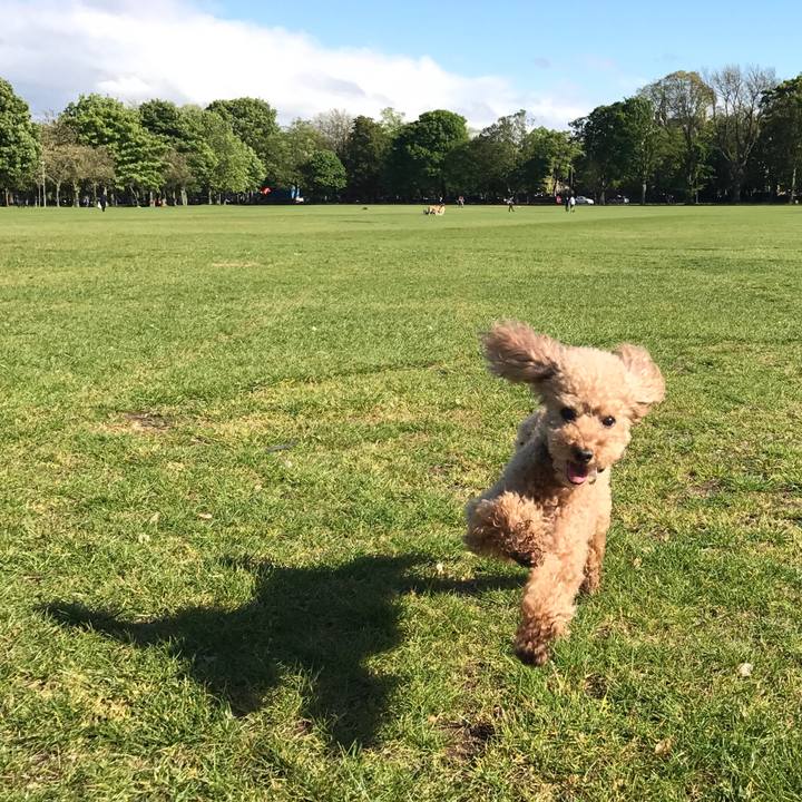 Fe2c96fa 8d28 42af ab5d 6a15d6875275