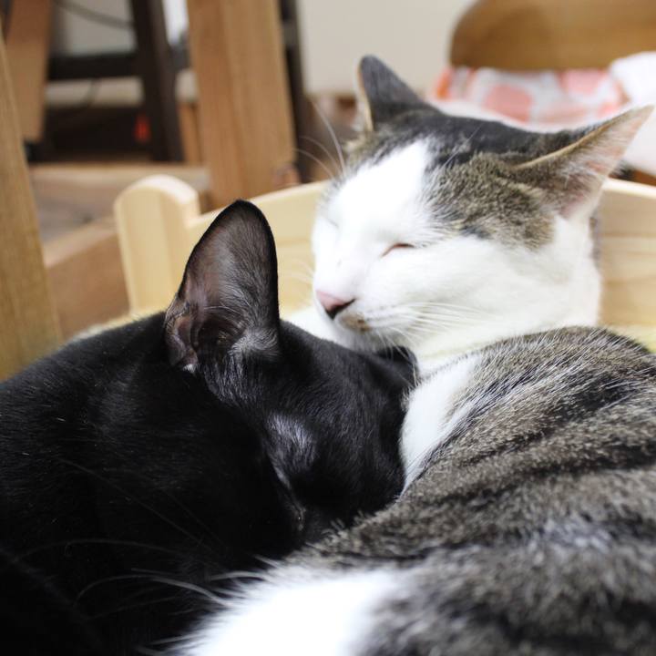 Fe2de9e8 a368 4d7d b2b8 3f1c4e5859a7