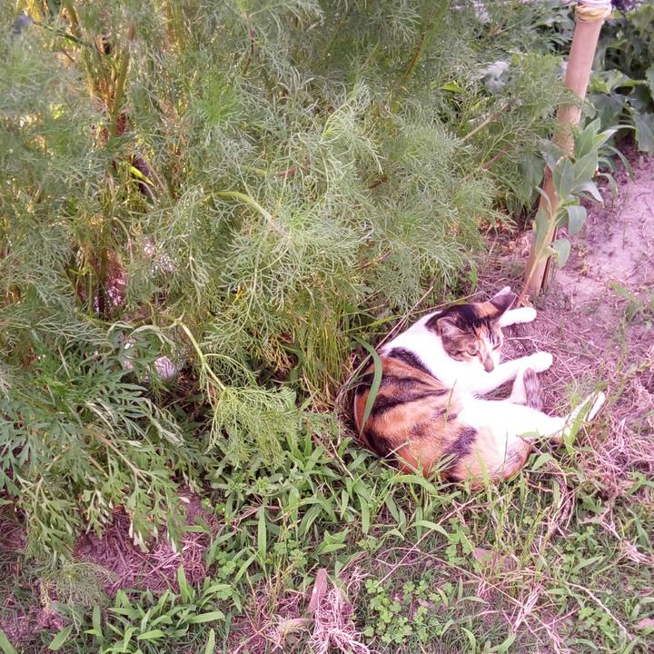 Fe2e94d2 ee23 4c1b a5ec cc055d1a99e1