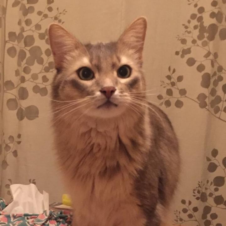 Fe2fdc06 1c57 46b5 85ac 8fd54b536a36