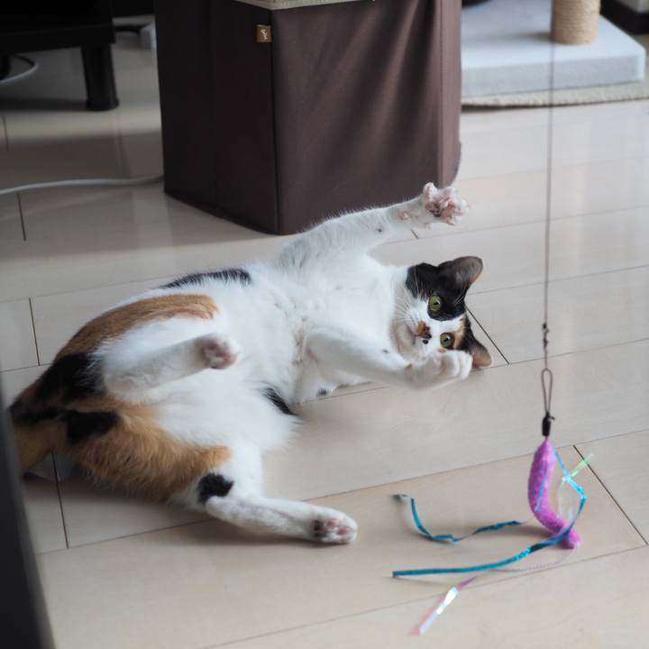 Fe317af3 26bd 4073 b125 c013778ed740