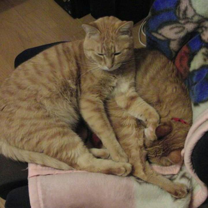 Fe31ef8b 51aa 43d0 85ca 93f8a27b6ec7